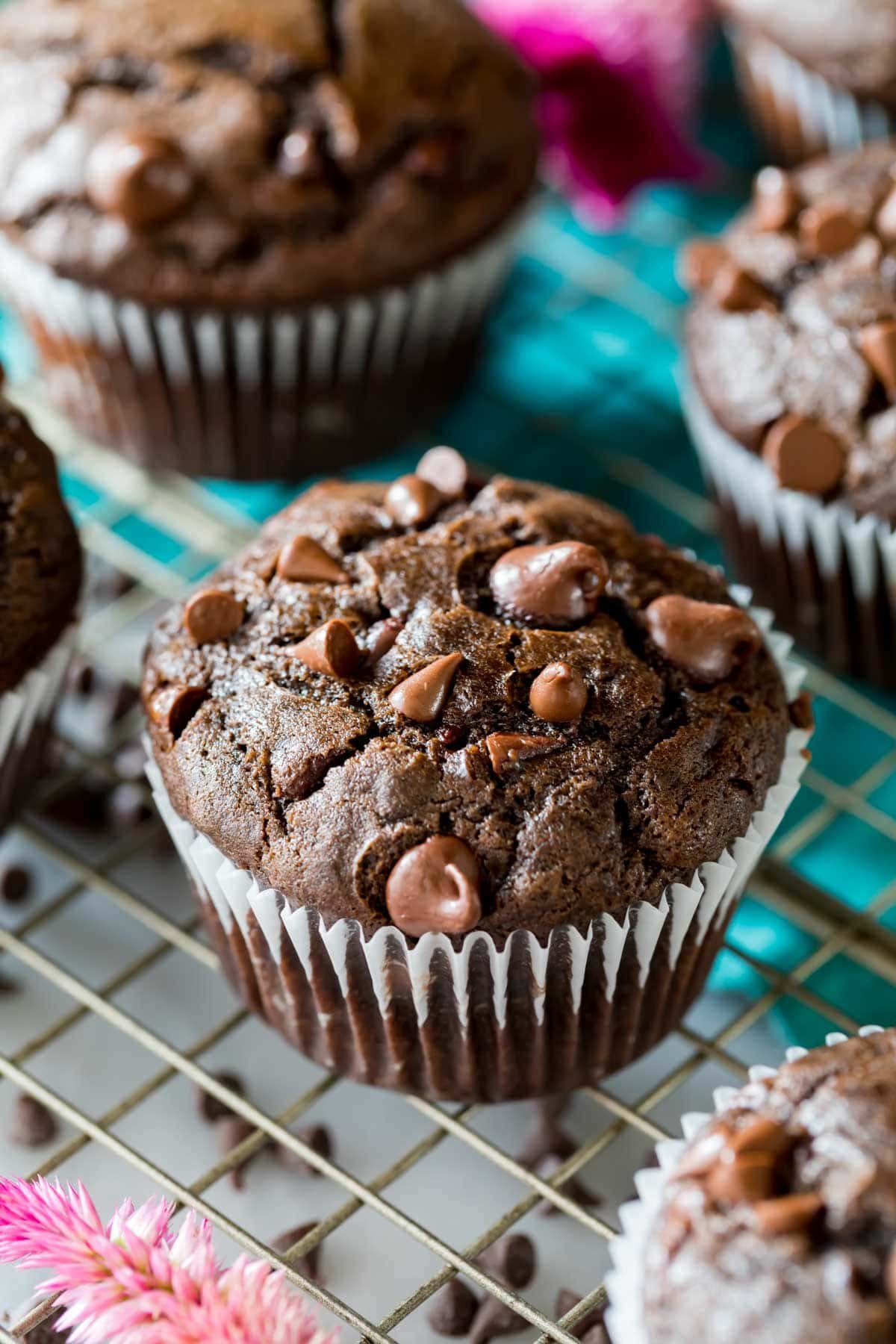 DOUBLE CHOCOLATE CHIP MUFFIN